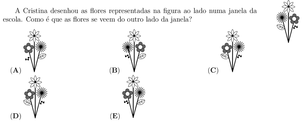 desafio matemático do dia