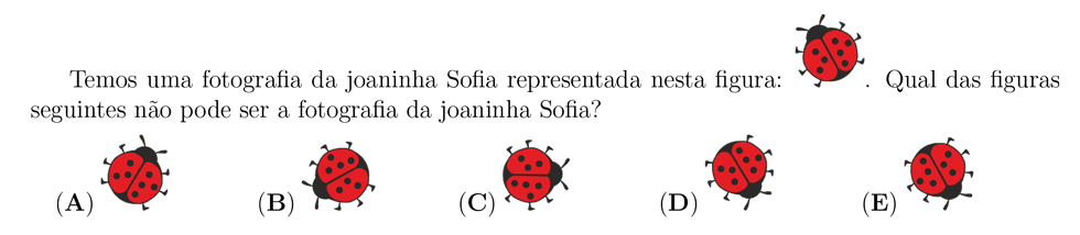 desafio matemático do dia