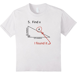 image with mathematical humor