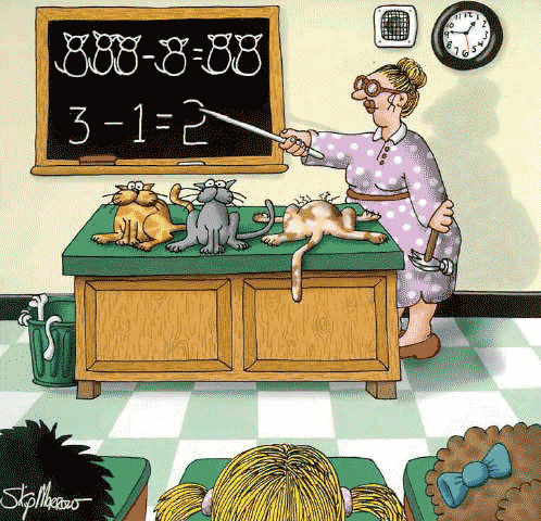 imagem com humor matemático do dia