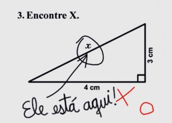 imagem com humor matemático do dia